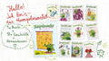 Kennenlern-Paket (versandkostenfrei)